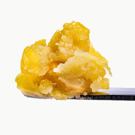 West Coast Cure - Banana Punch Live Rosin Cold Cure Badder - T3 - 1