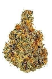 Cannafeen - Cannafeen | Orange Pie | Big Buds - 1