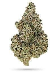 Cannafeen - Cannafeen | Peanut Butter Cup | Big Buds - 1