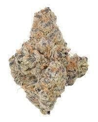 Cannafeen - Cannafeen | Glitter Bomb | Big Buds - 1