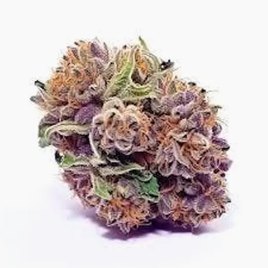 Cannafeen - Cannafeen | Blueberry Pancakes | Big Buds - 1