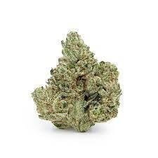 Cannafeen - Cannafeen | GG4 | Big Buds - 1