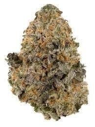 Cannafeen - Cannafeen | Gelato | Big Buds - 1