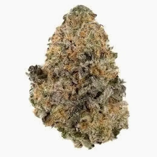 Cannafeen - Cannafeen | Gelato | Big Buds - 1