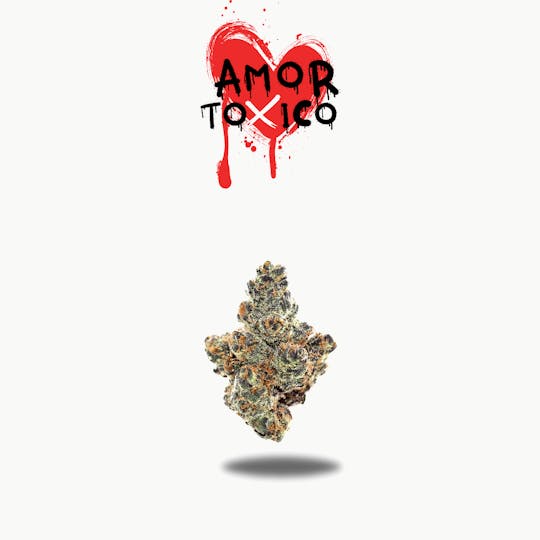 Oakfruitland (OFL) - Amor Toxico Premium Flower 10g - Neon 10g Series - 1