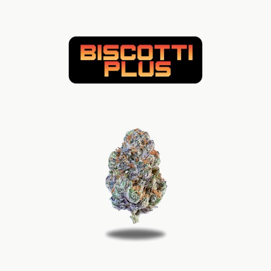Oakfruitland (OFL) - Biscotti Plus Premium Flower 5g - Neon 5g Series - 1