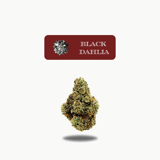 Oakfruitland (OFL) - Black Dahlia Premium Flower 10g - Neon 10g Series - 1