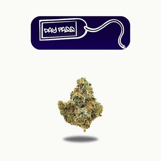 Oakfruitland (OFL) - Day Pass Premium Flower 5g - Neon 5g Series - 1