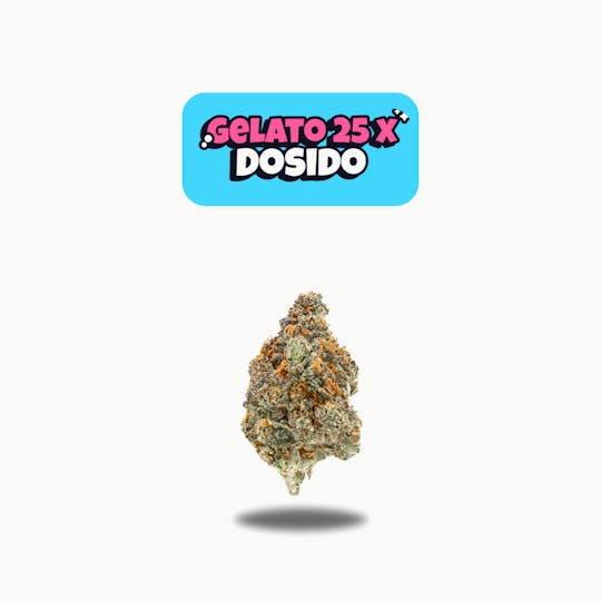 Oakfruitland (OFL) - Gelato 25 x Dosido Premium Flower 5g - Neon 5g Series - 1
