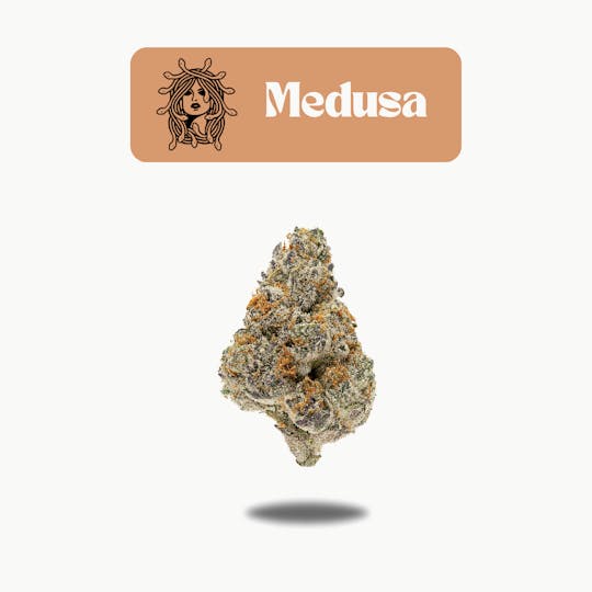 Oakfruitland (OFL) - Medusa Premium Flower 5g - Neon 5g Series - 1
