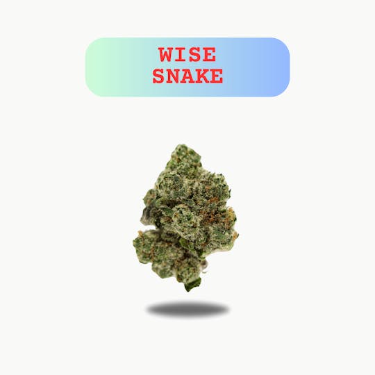 Oakfruitland (OFL) - Wise Snake Premium Flower 10g - Neon 10g Series - 1
