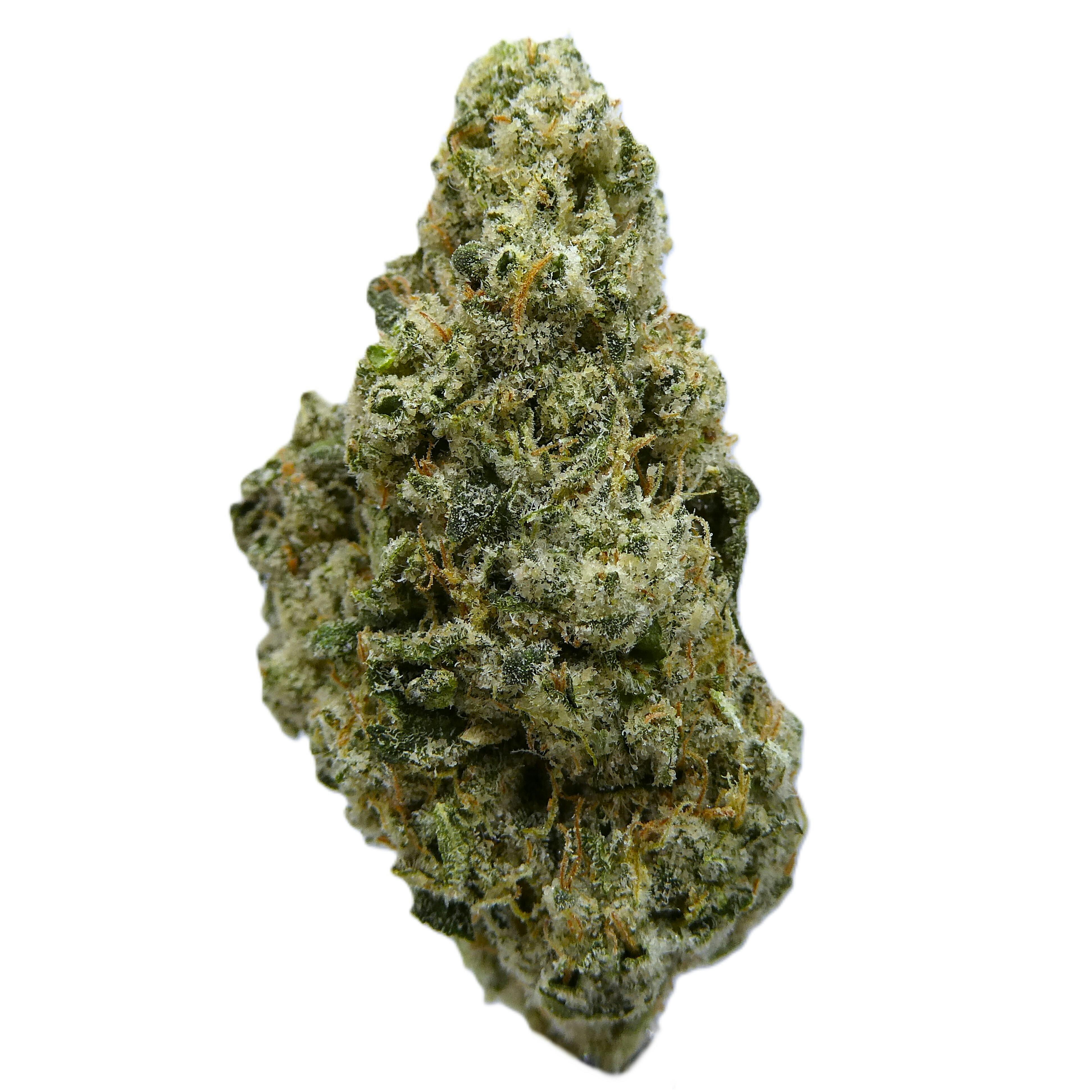 Avitas - Highaleah Buds - 1