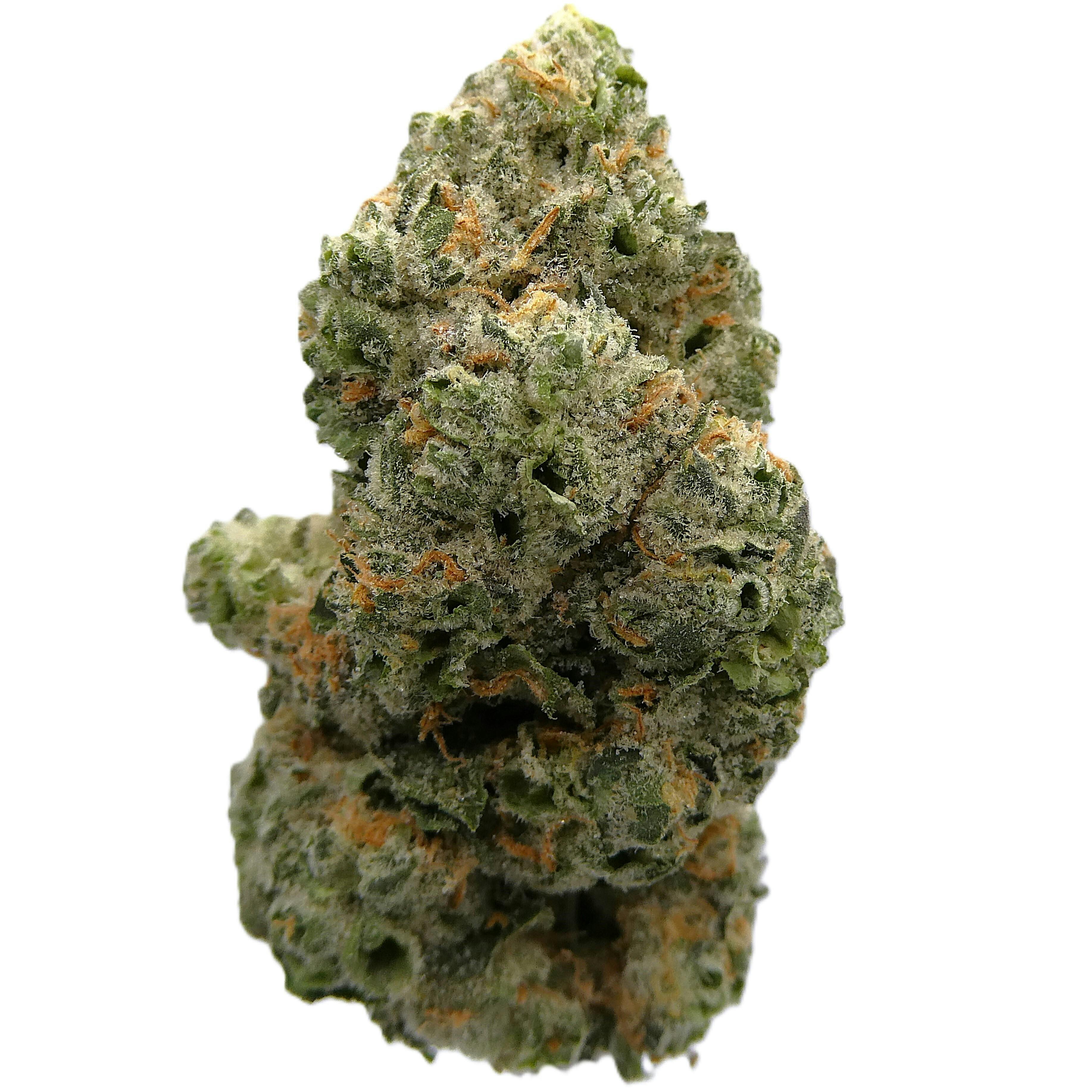 Avitas - Yoshi Kush Buds - 1