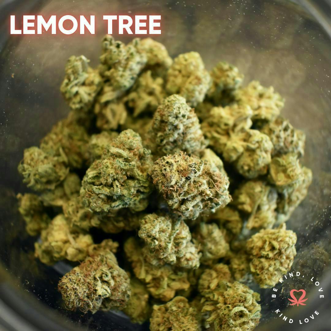 Kind Love Brand - Kind Love | Lemon Tree | Flower - 1