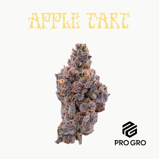 Pro Gro - Apple Tart Bubble Hash Infused Pre-Roll | 1g (3pk) - 1