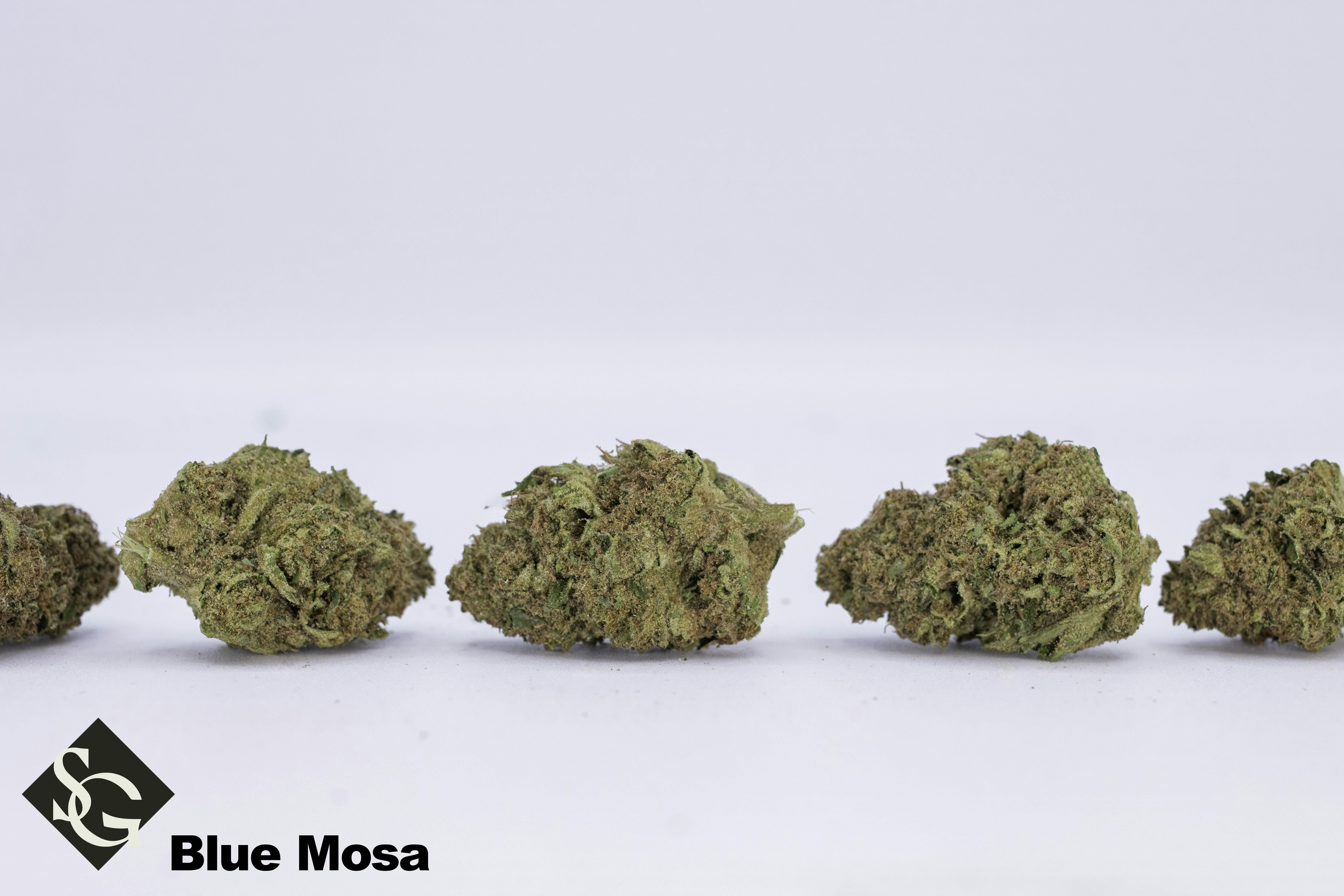 High Life Farms - MI - Switchgrass Blue Mosa Prepackaged 1.25 Ounce - 1