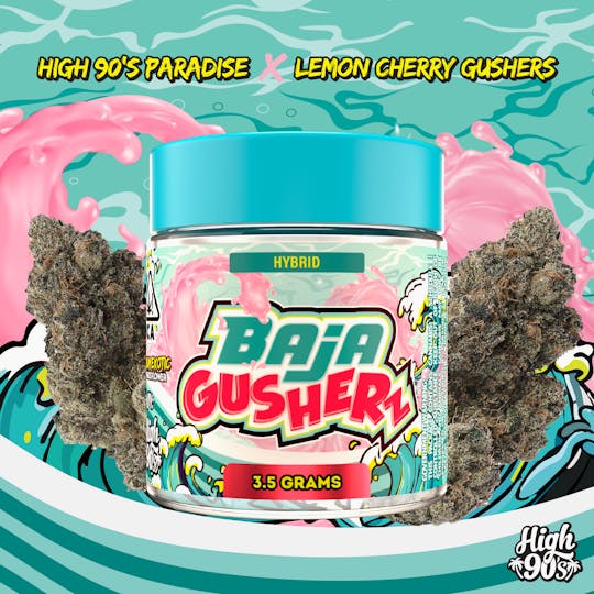 HIGH 90s - High 90s : Baja Gusherz 3.5g Flower - 1