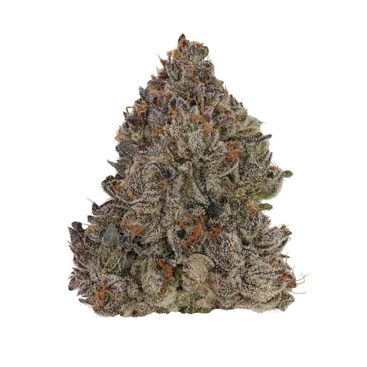 Fig Farms - Fig Farms | Lemon Cherry Face | Big Buds - 1