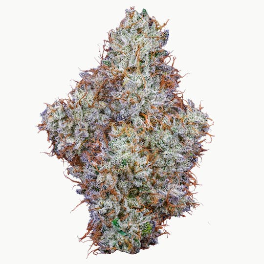 Fig Farms - Animal Runtz - 1