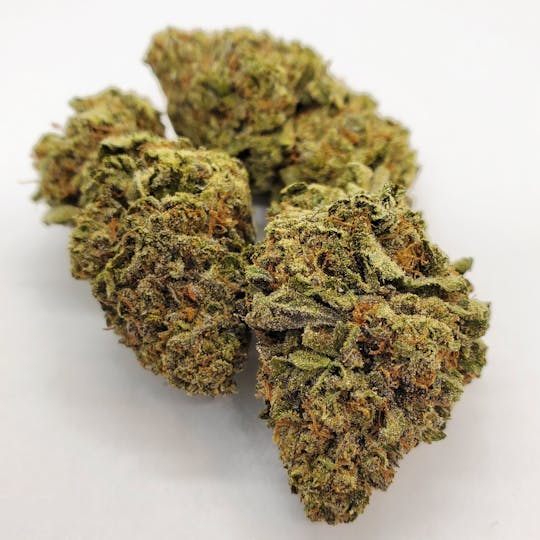 AREA 626 - AREA 626 - Ice Cream Cake 28g - 1