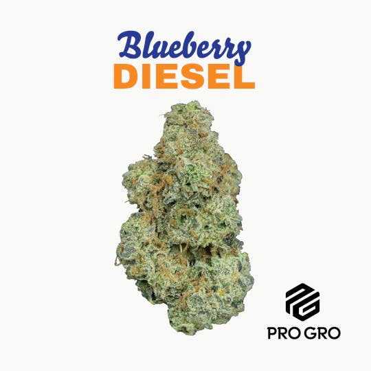 Pro Gro - Blueberry Diesel Pre-Roll | 1g - 1