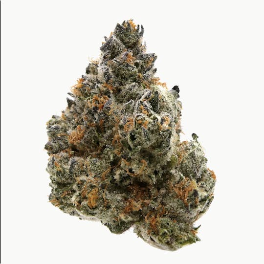 Garcia Hand Picked - Grape Fritter Flower (Buds) - 1