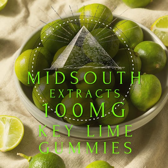 MidSouth Extracts - Gummies - 100mg - Key Lime - 1