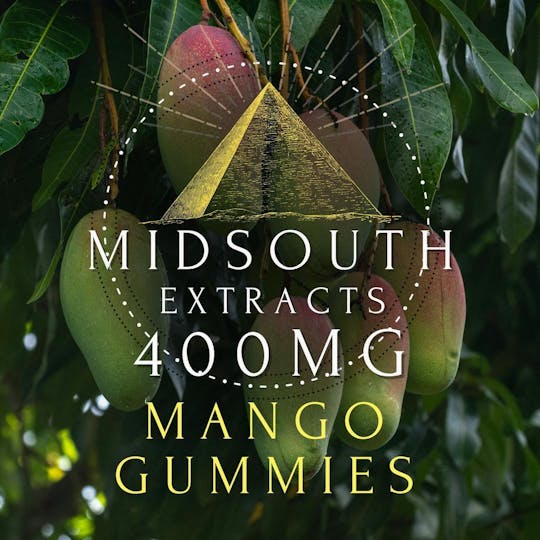 MidSouth Extracts - Gummies - 400mg/10pk - Mango - 1