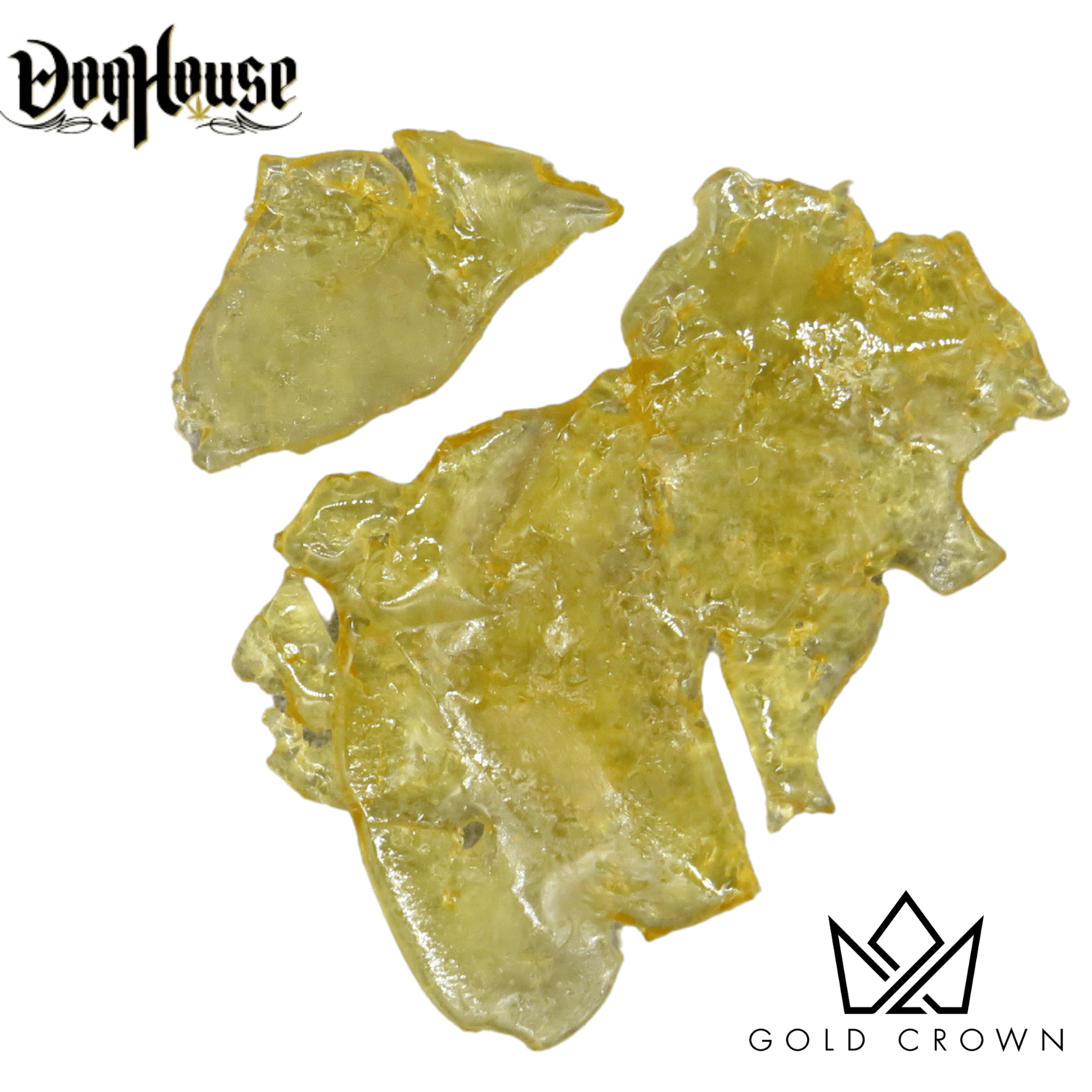 Gold Crown - Gold Crown | Tagalongz | Shatter | 1g - 1