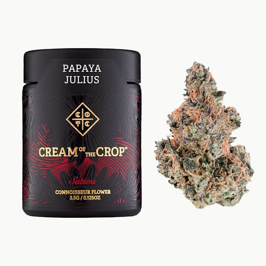 Cream of the Crop - Papaya Julius | 3.5g | Flower - 1