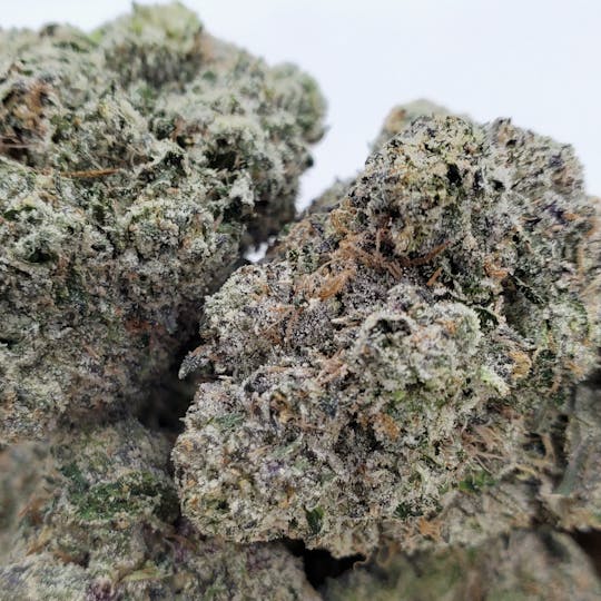 World Class Cannabis - Mochi - 1