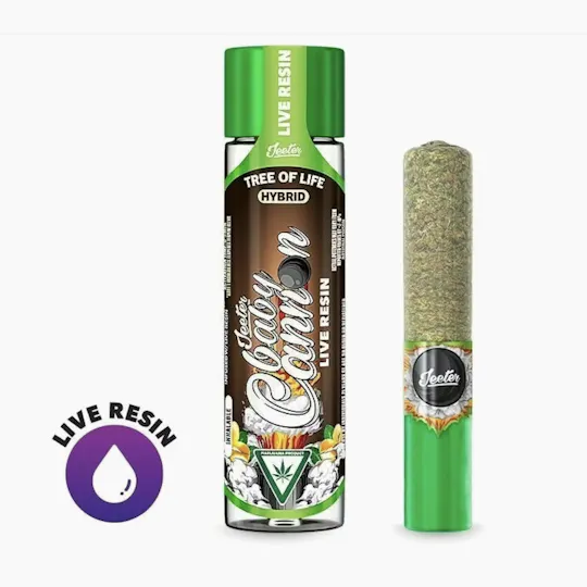 Jeeter - Jeeter | Tree Of Life | Live Resin Cannon | Infused Joint | 1.3g - 1