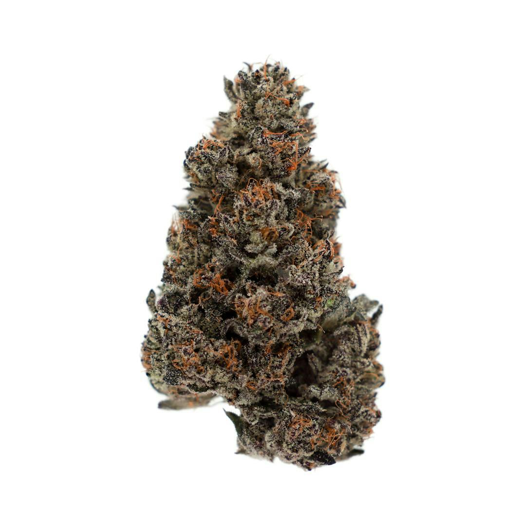 LegaSea Farms - Trophy Wife Flower - 1