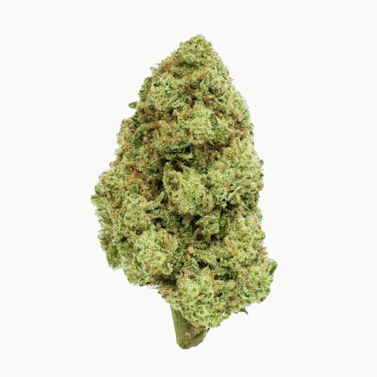 Burr's Place - Burr’s Place | Blueberry Muffin - 14g Bag (Indica) - 1