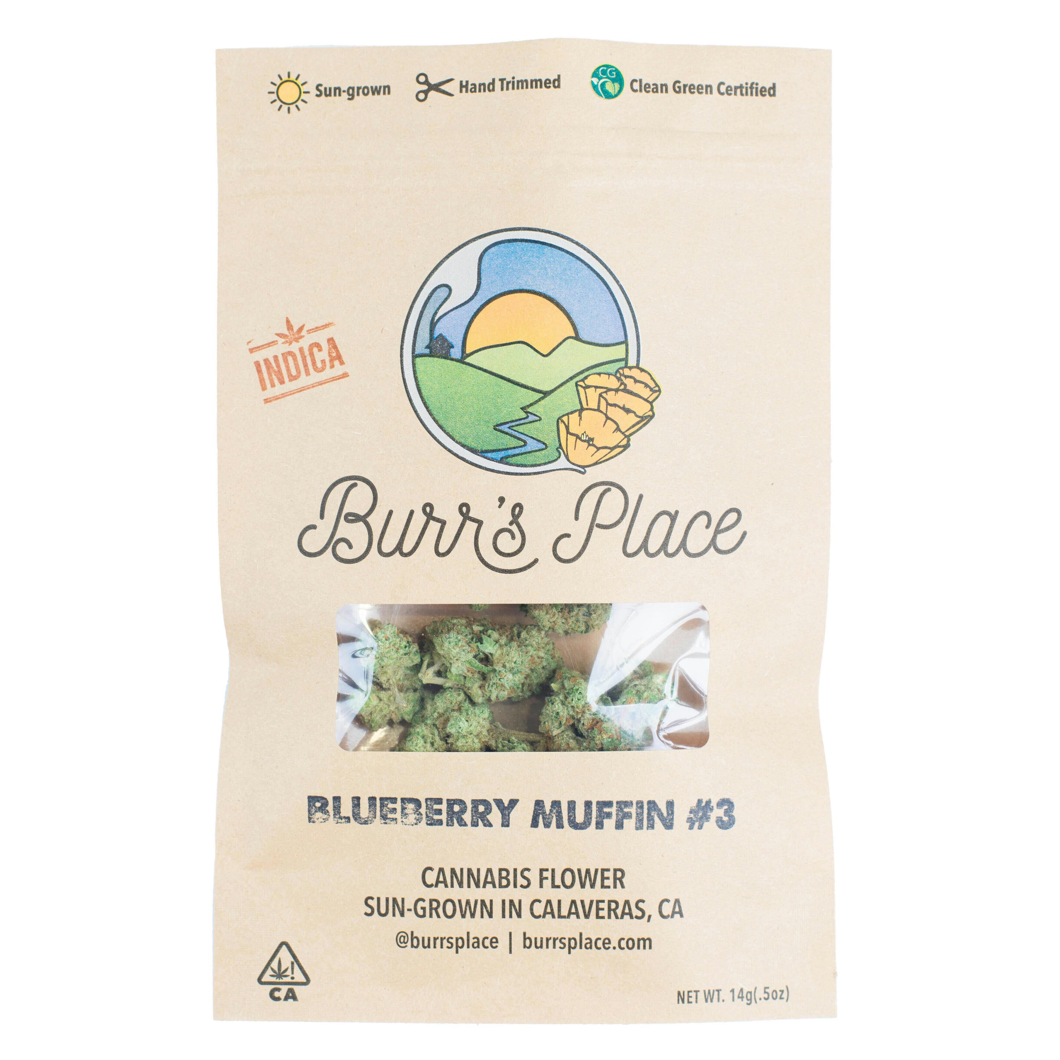 Burr's Place - Burr’s Place | Blueberry Muffin | Big Buds | 14g - 1