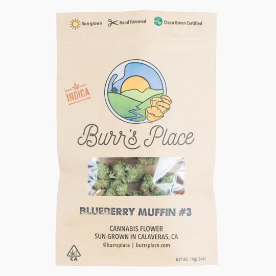 Burr's Place - Burr’s Place | Blueberry Muffin | Big Buds | 14g - 1
