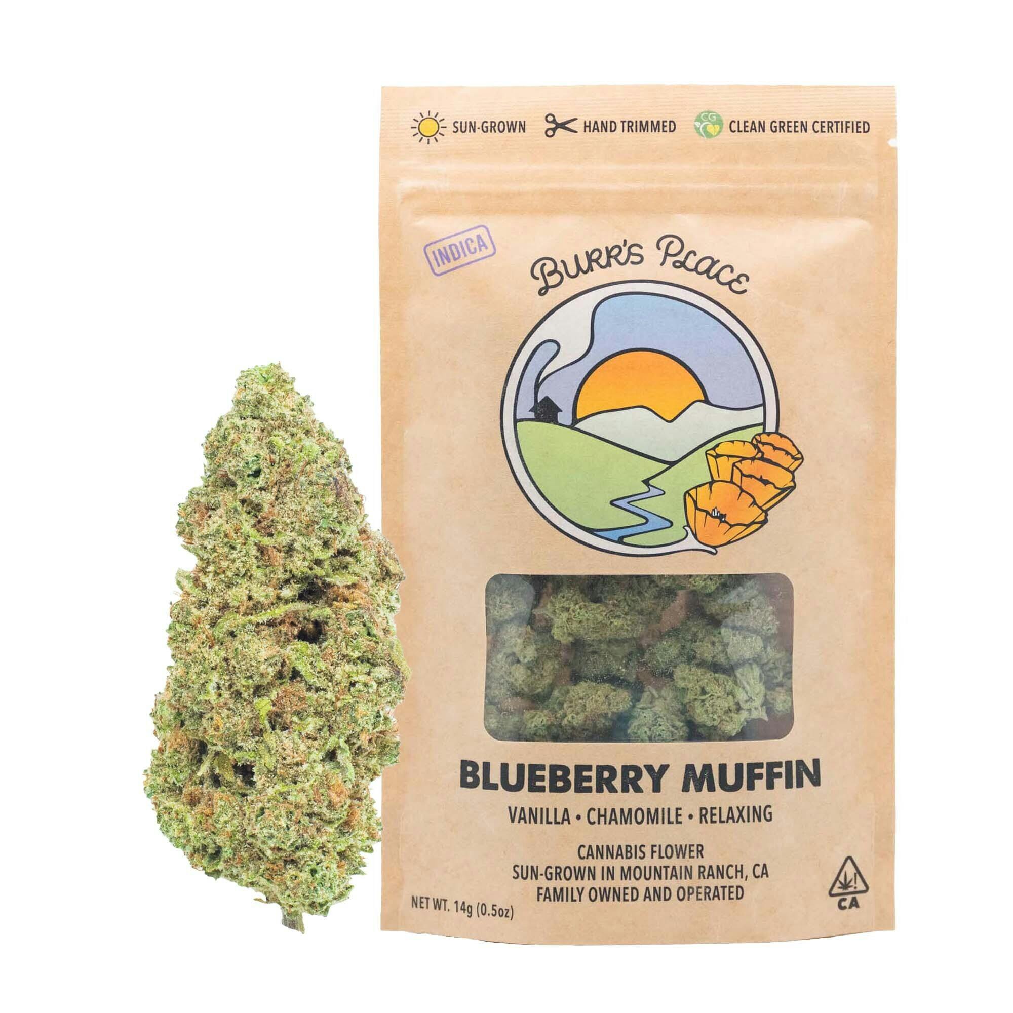 Burr's Place - Blueberry Muffin | Big Buds | 14g - 1