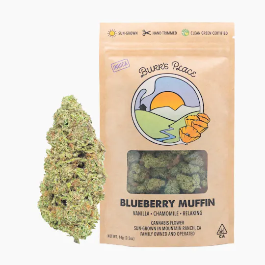 Burr's Place - Blueberry Muffin | Big Buds | 14g - 1