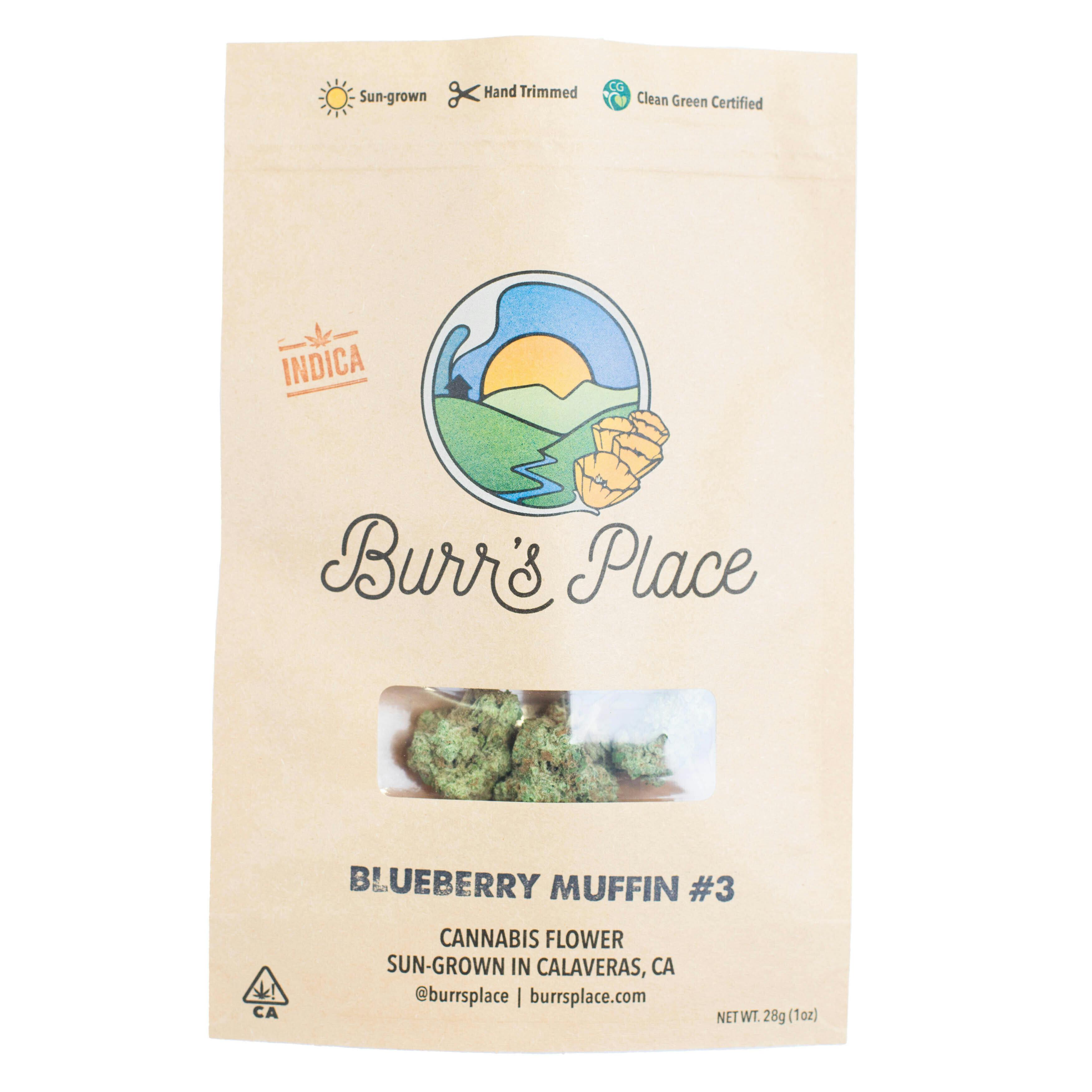 Burr's Place - Burr’s Place | Blueberry Muffin | Big Buds | 28g - 1