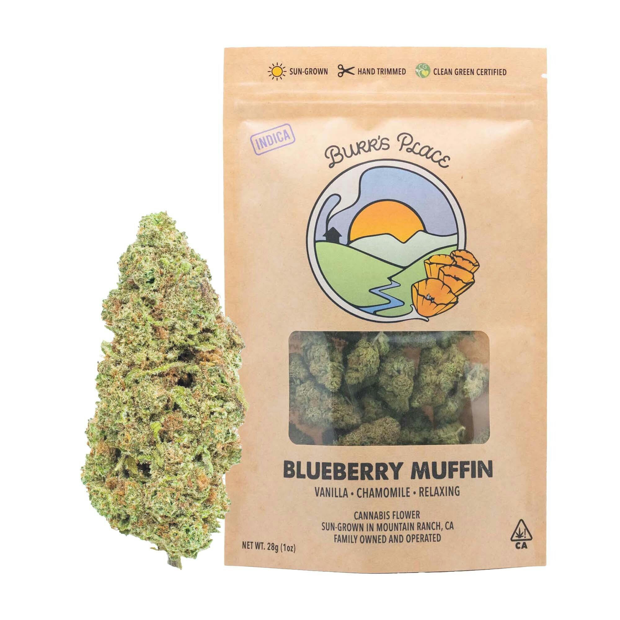 Burr's Place - Blueberry Muffin | Big Buds | 28g - 1