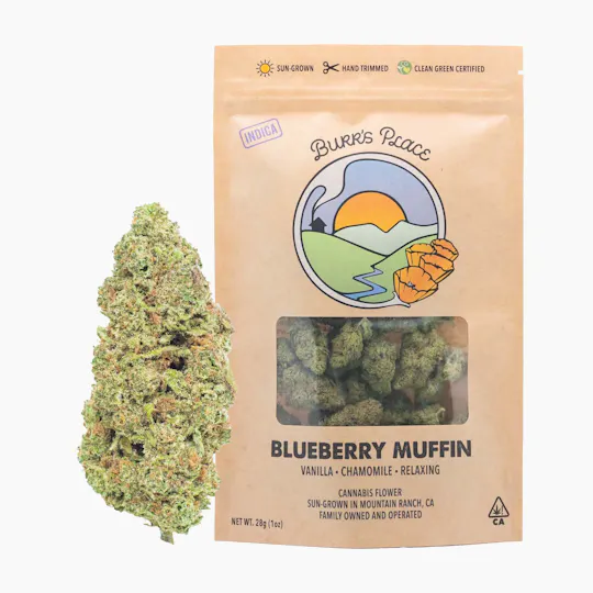 Burr's Place - Blueberry Muffin | Big Buds | 28g - 1