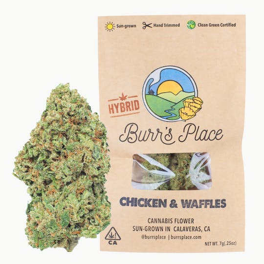 Burr's Place - Burr’s Place | Chicken & Waffles - 7g Bag (Hybrid) - 1