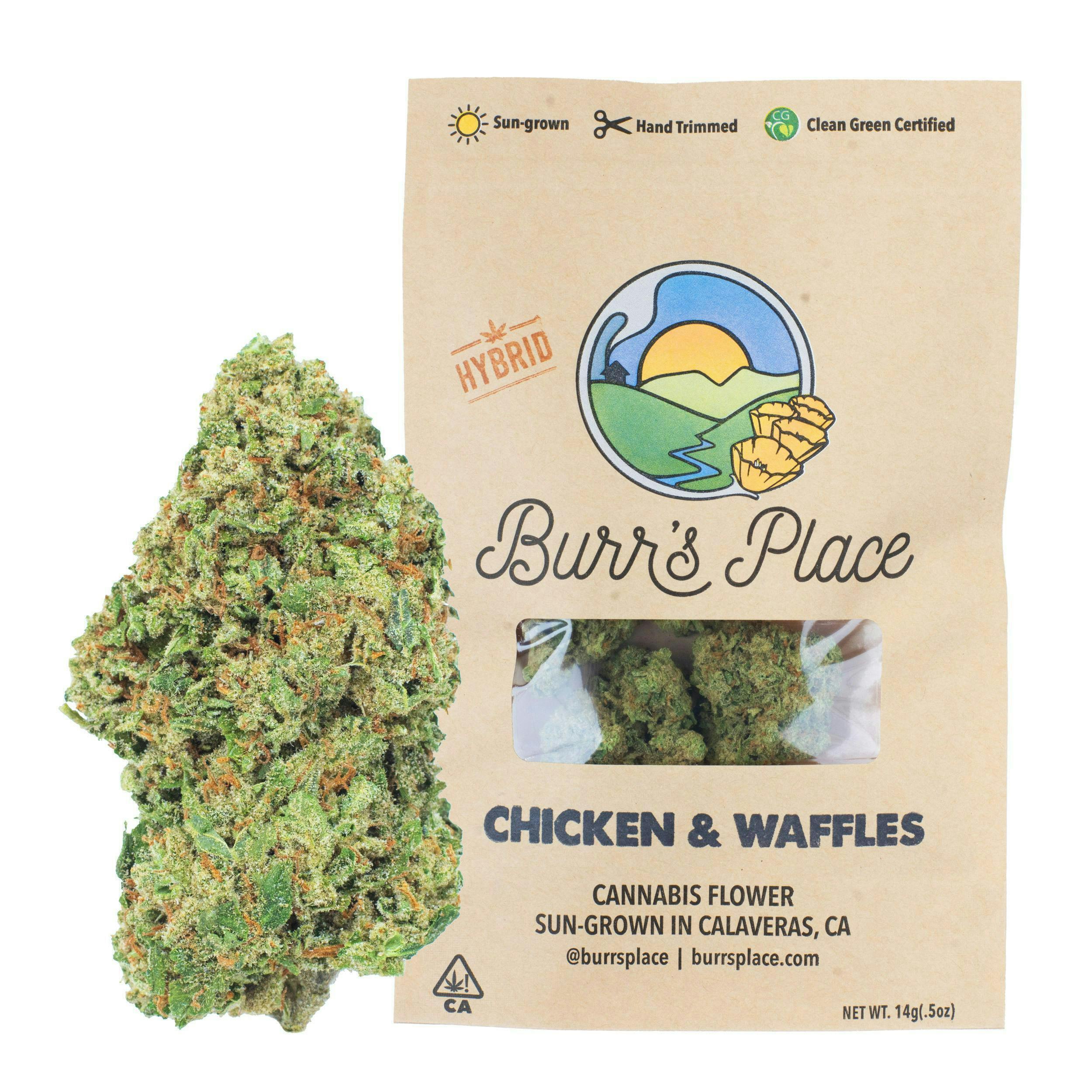 Burr's Place - Burr’s Place | Chicken & Waffles | Big Buds | 14g - 1
