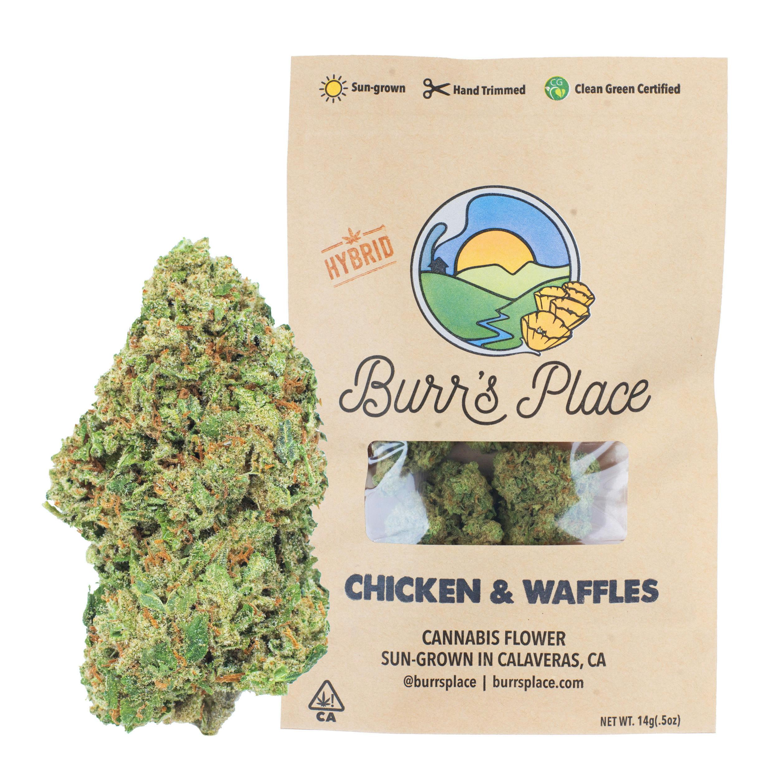 Burr's Place - Chicken & Waffles | Big Buds | 14g - 1
