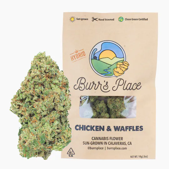 Burr's Place - Chicken & Waffles | Big Buds | 14g - 1