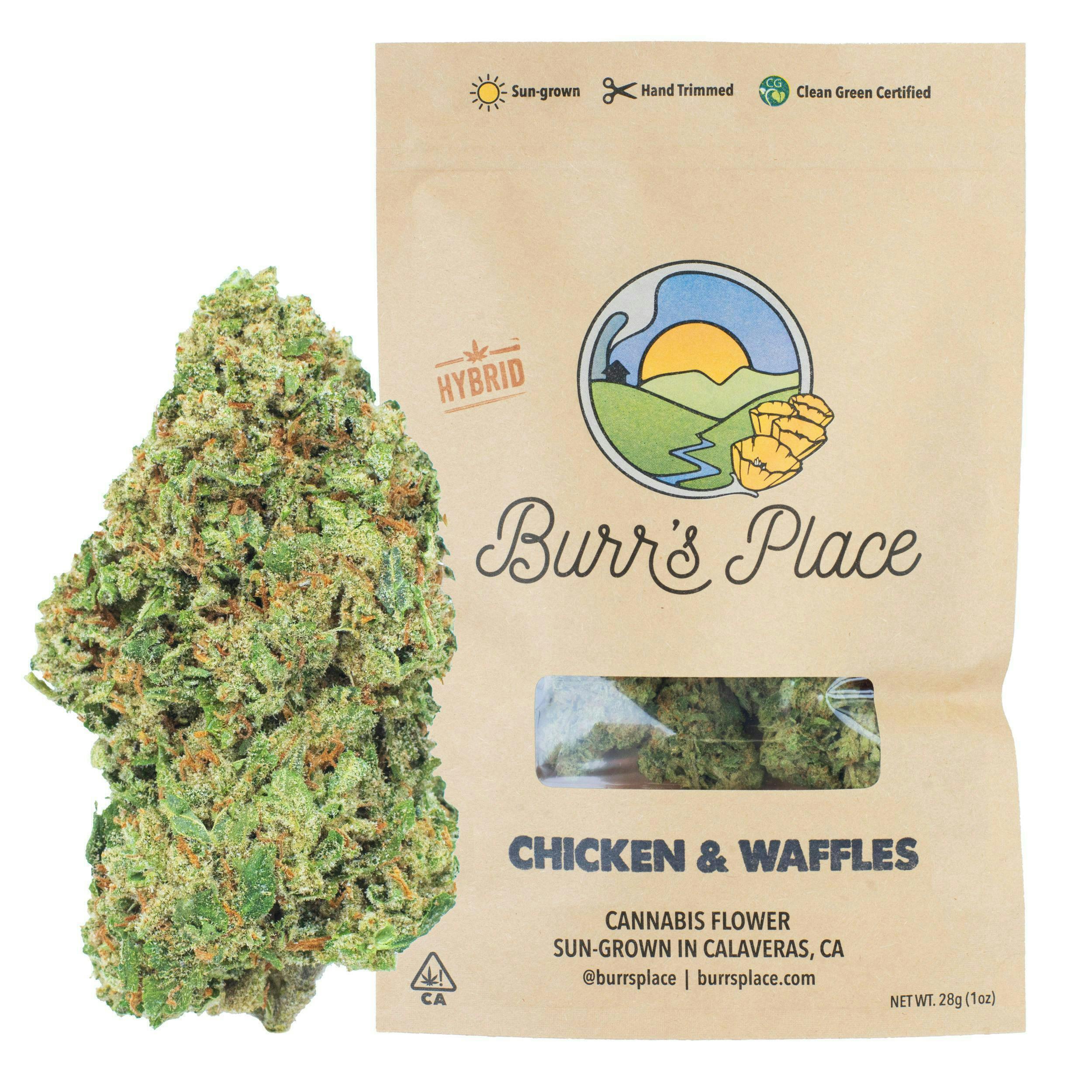 Burr's Place - Burr’s Place | Chicken & Waffles | Big Buds | 28g - 1