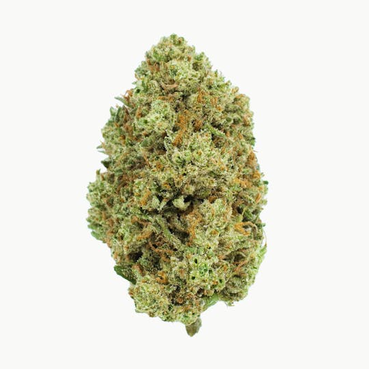 Burr's Place - Burr’s Place | Jelly Donutz - 3.5g Bag (Indica) - 1
