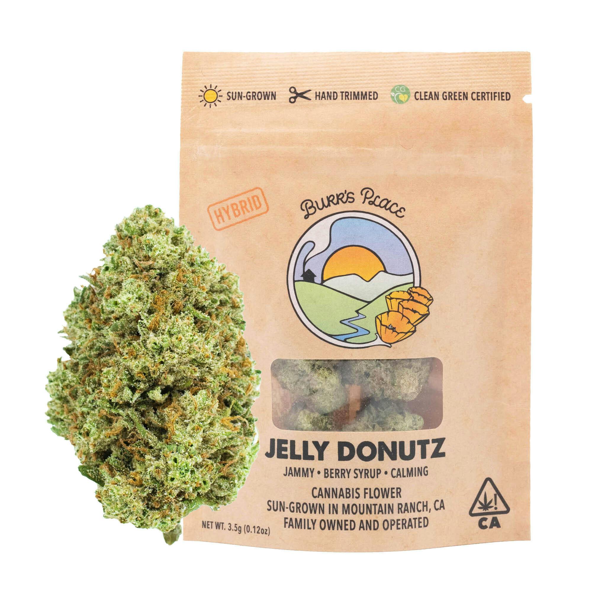 Burr's Place - Jelly Donutz | Big Buds | 3.5g - 1
