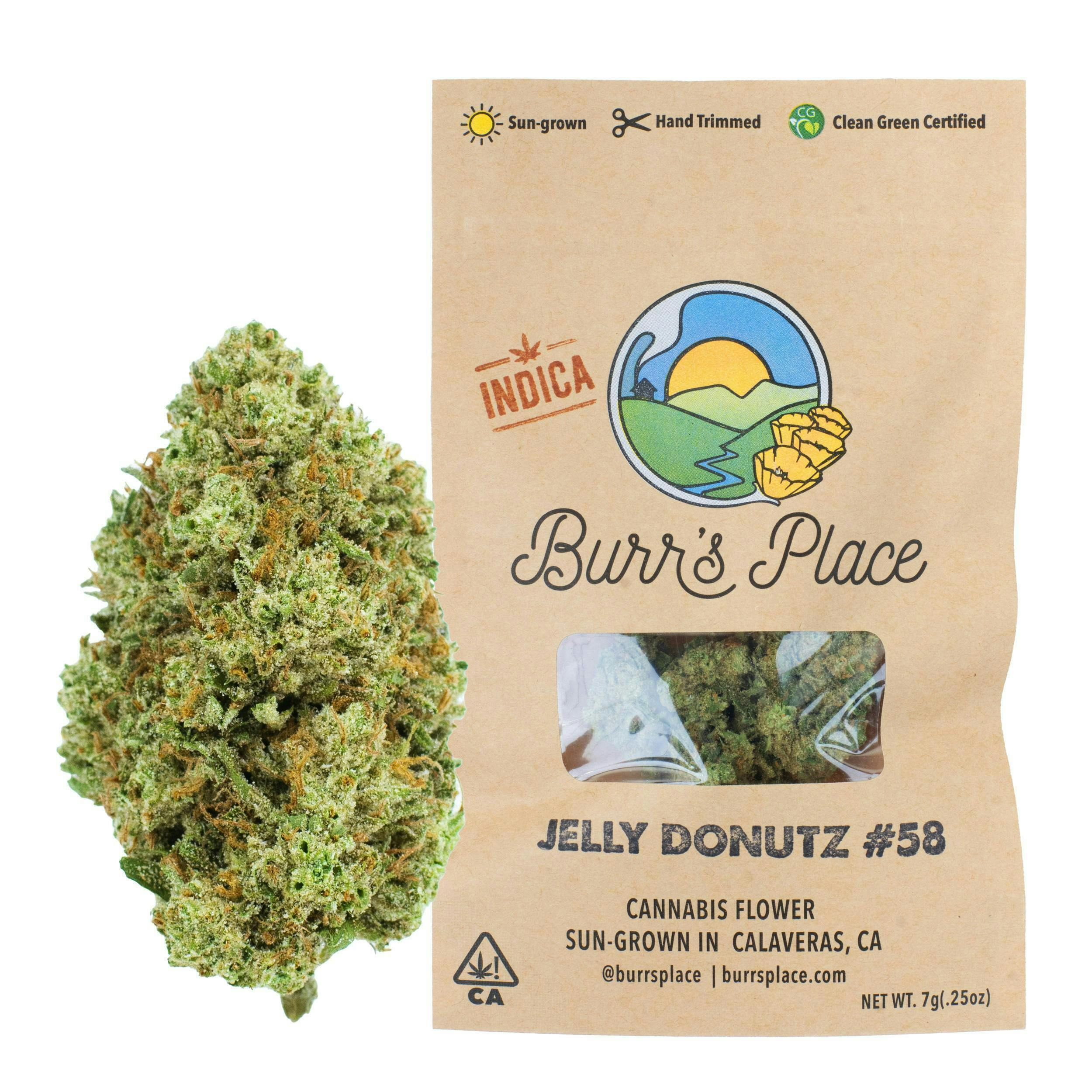 Burr's Place - Burr’s Place | Jelly Donutz | Big Buds | 7g - 1