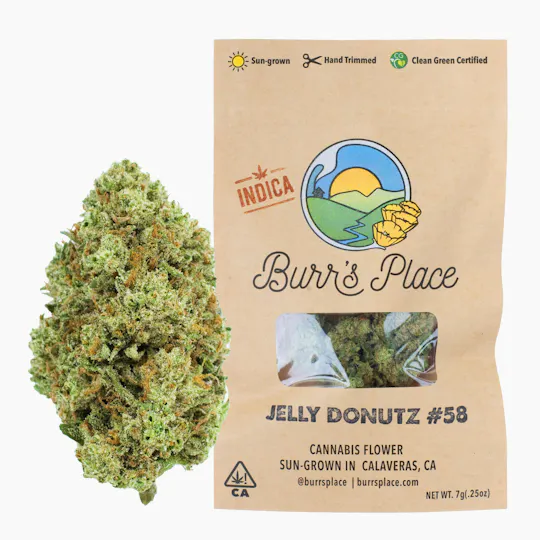 Burr's Place - Burr’s Place | Jelly Donutz | Big Buds | 7g - 1